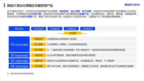 2020年微信商業(yè)化研究報(bào)告 幾張圖搞清楚微信變現(xiàn)邏輯