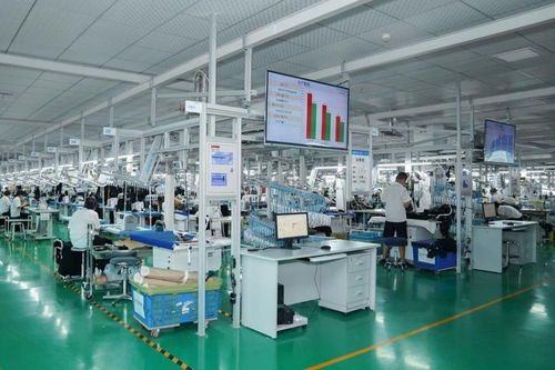 李婷 又要保就業(yè)又要數(shù)字化,服裝產(chǎn)業(yè)升級(jí)難在哪里